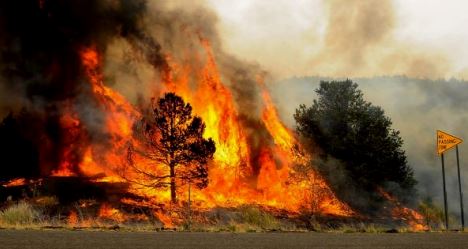 photo by Richmond FD
