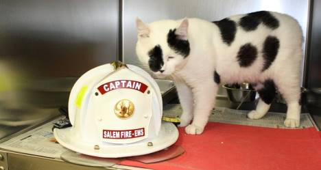 photo by Salem FD
